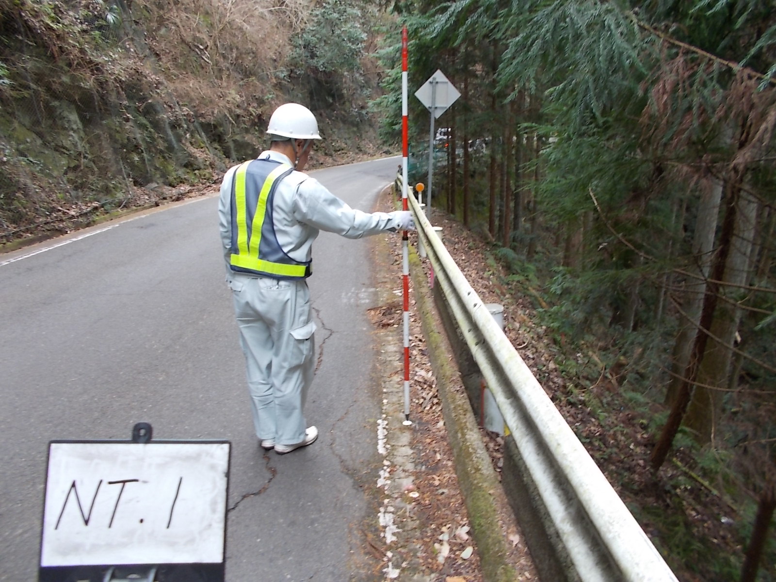 国道370号道路改良測量業務
