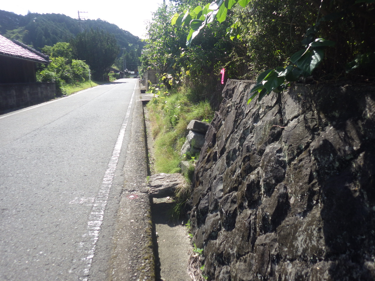 高野口野上線小規模道路改良設計業務(道路)