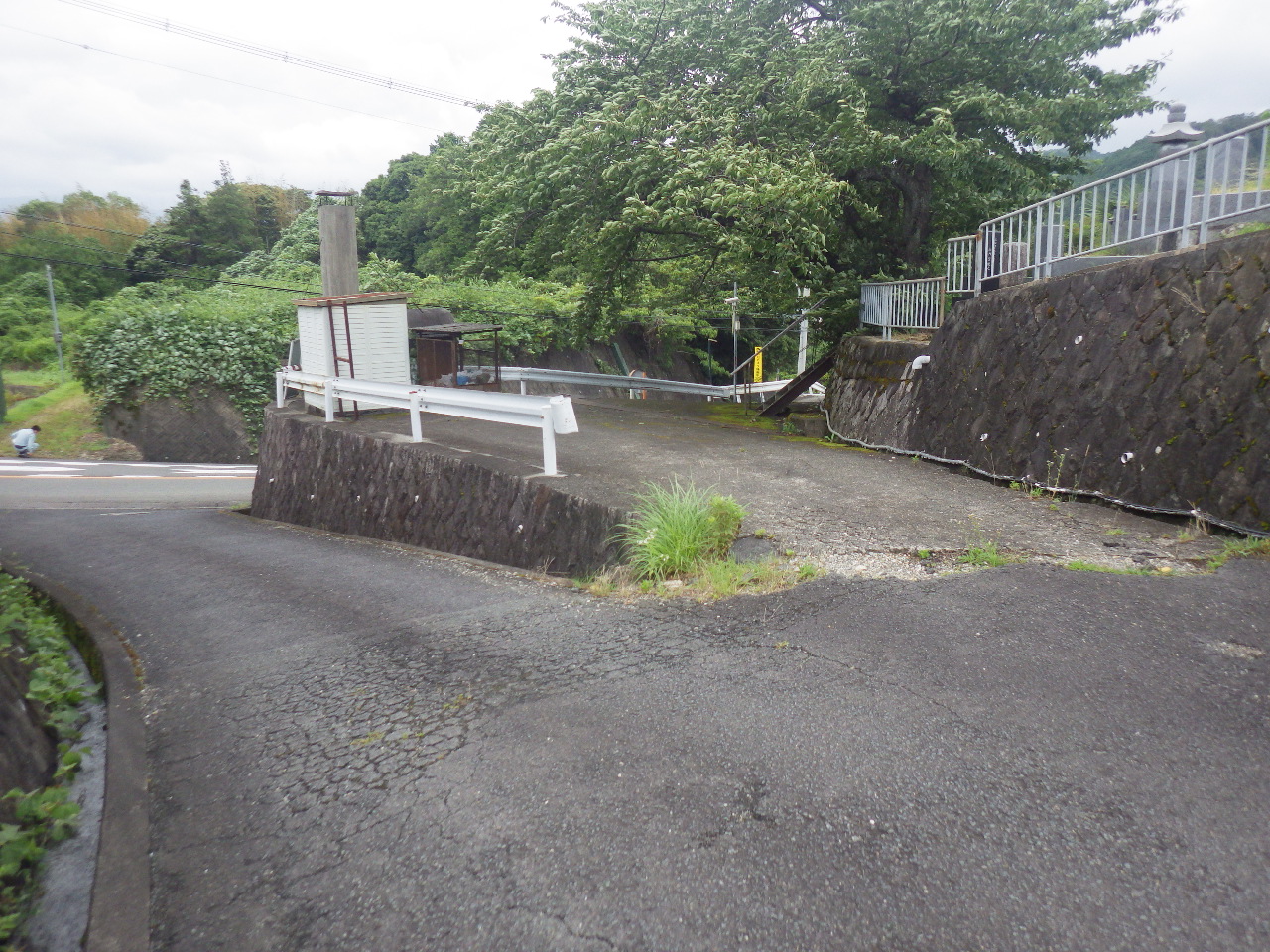 市道日野５号線道路改良測量及び詳細設計業務(道路)