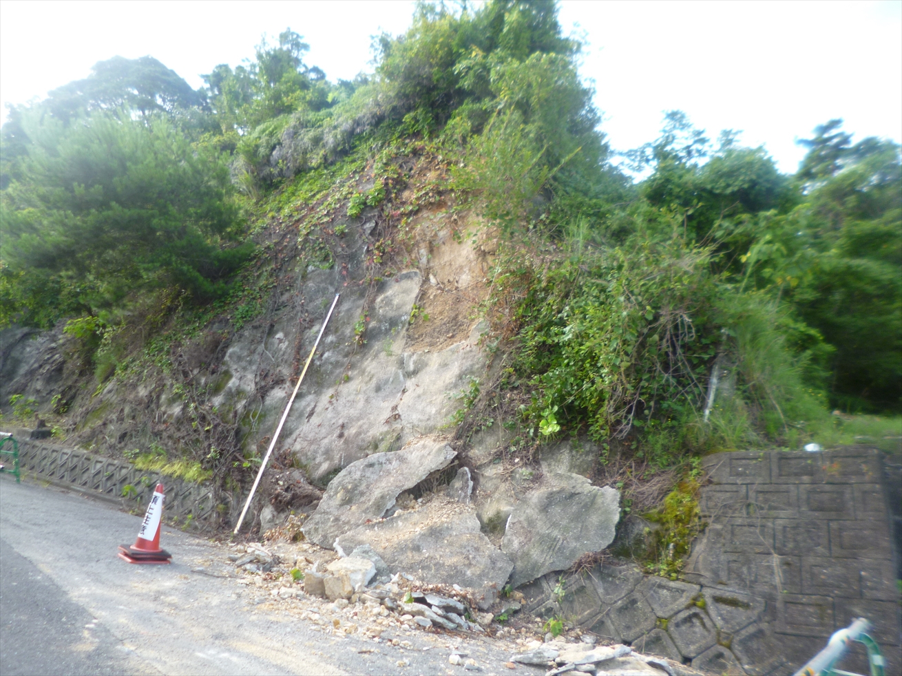町道淡輪団地線 道路災害復旧測量設計業務(道路)