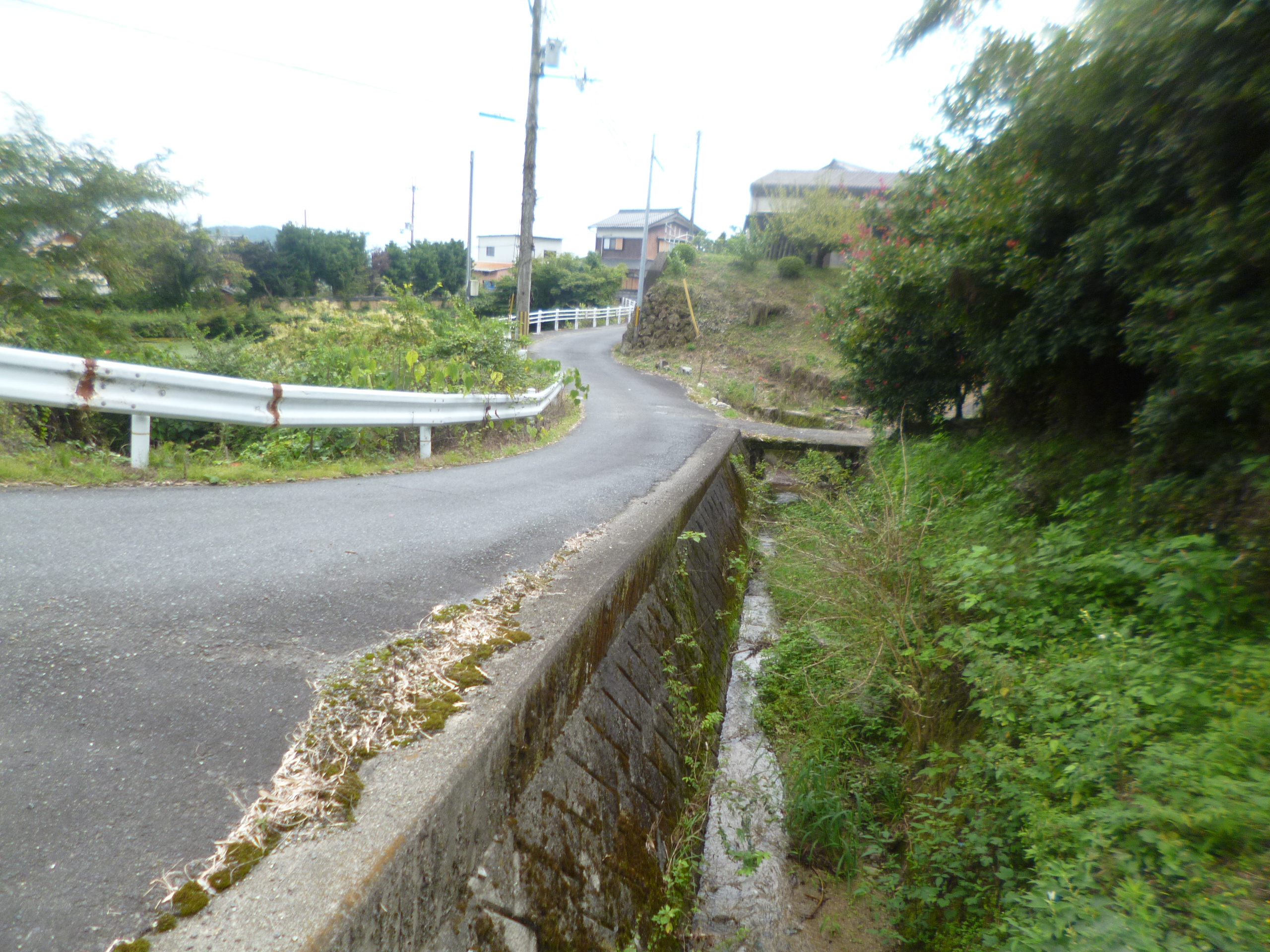道路整備に伴う道路詳細設計業務委託(道路)