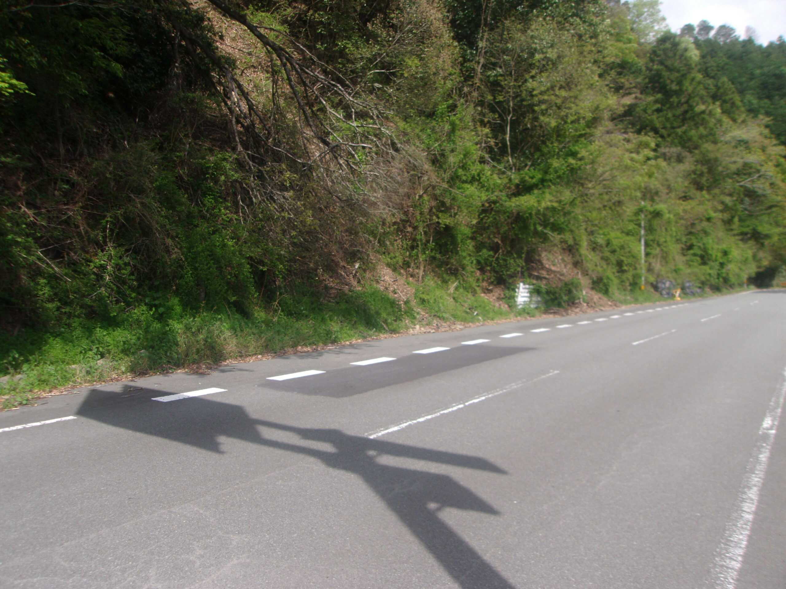 龍神中辺路線交付金道路保全設計業務(道路)
