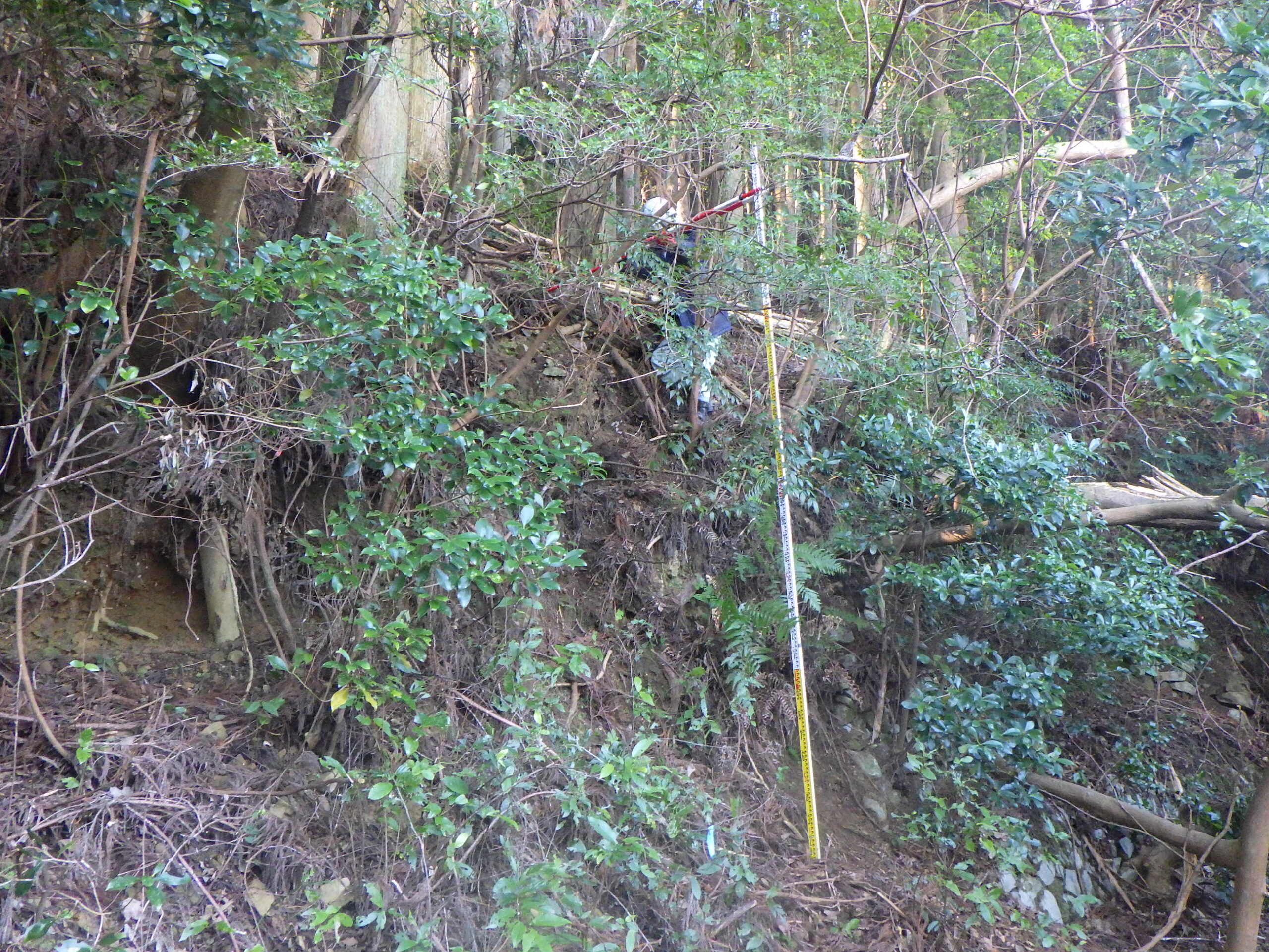 上津木落合2地区急傾斜地崩壊対策測量業務