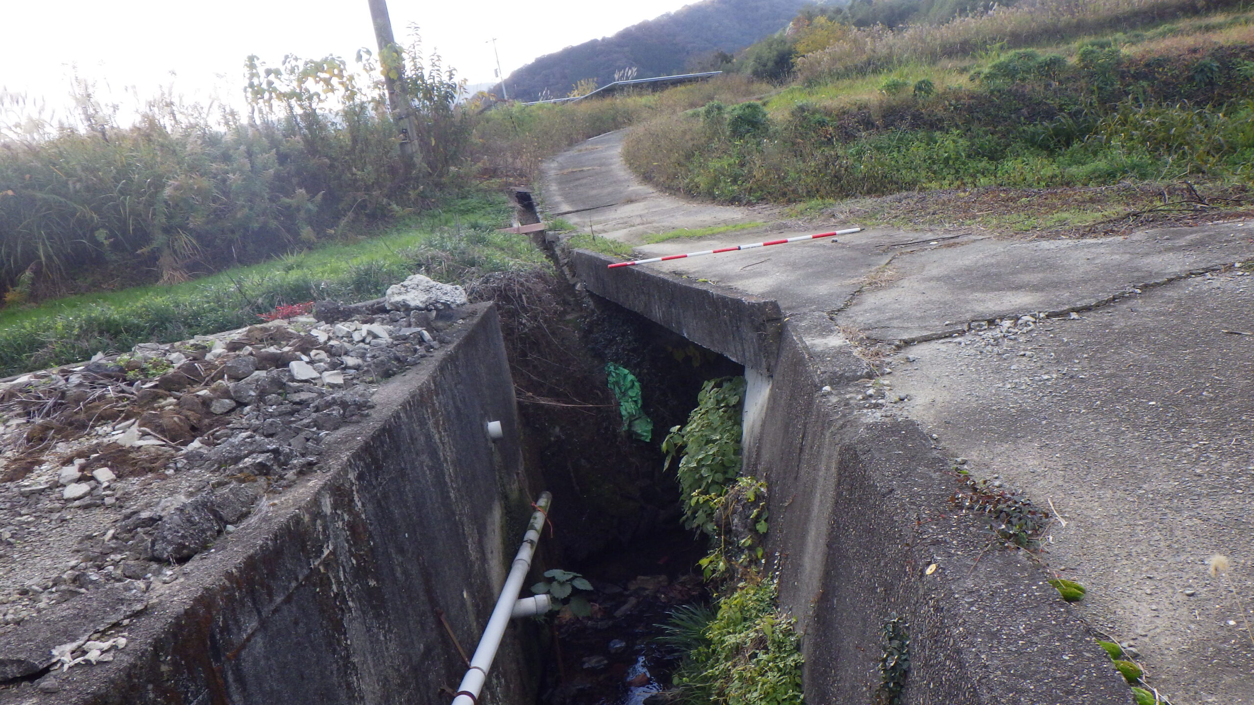 貴志川河川整備設計業務(河川)