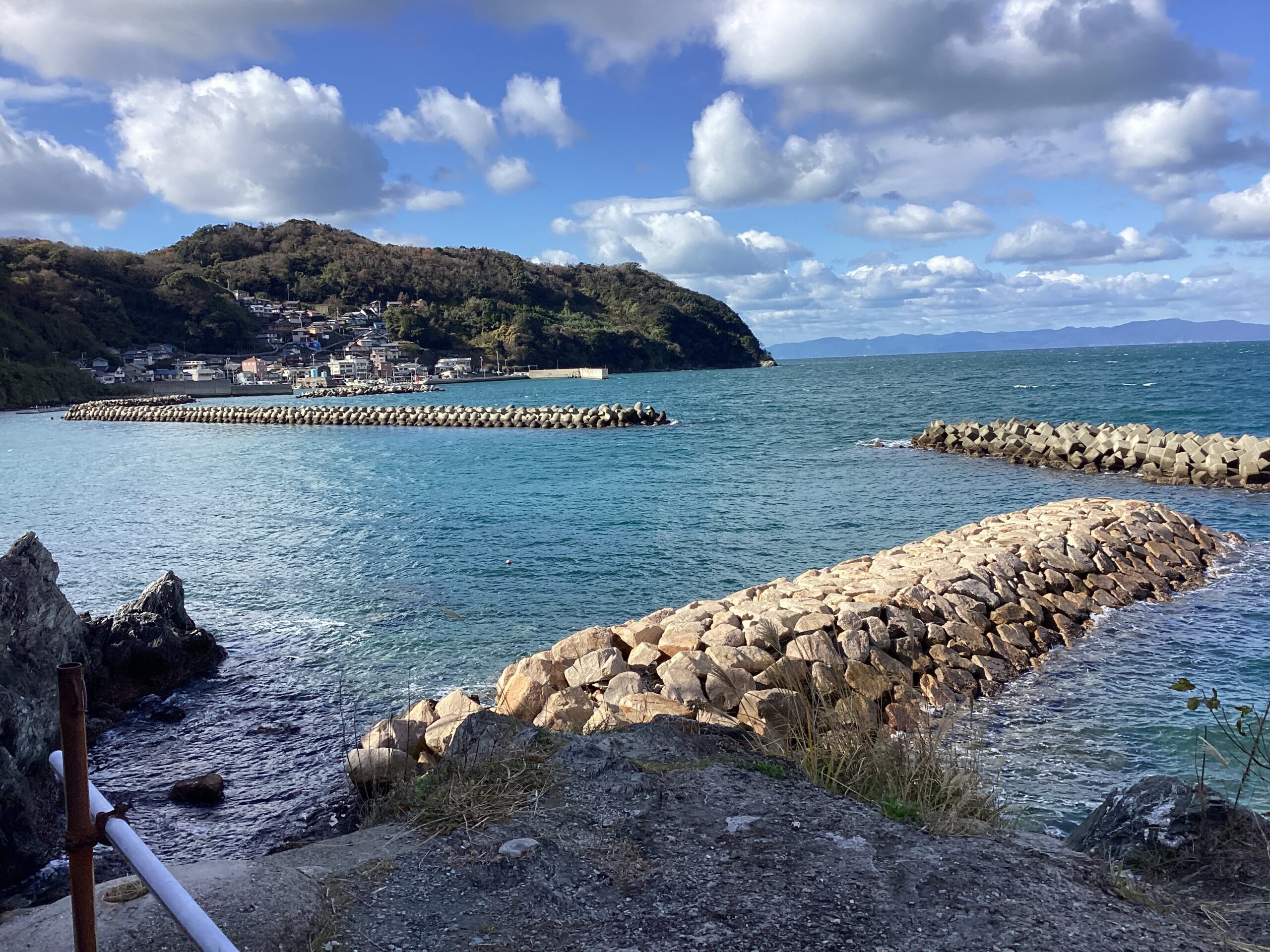 和歌山下津港海岸外海岸整備(長寿命化計画更新)業務(港湾)