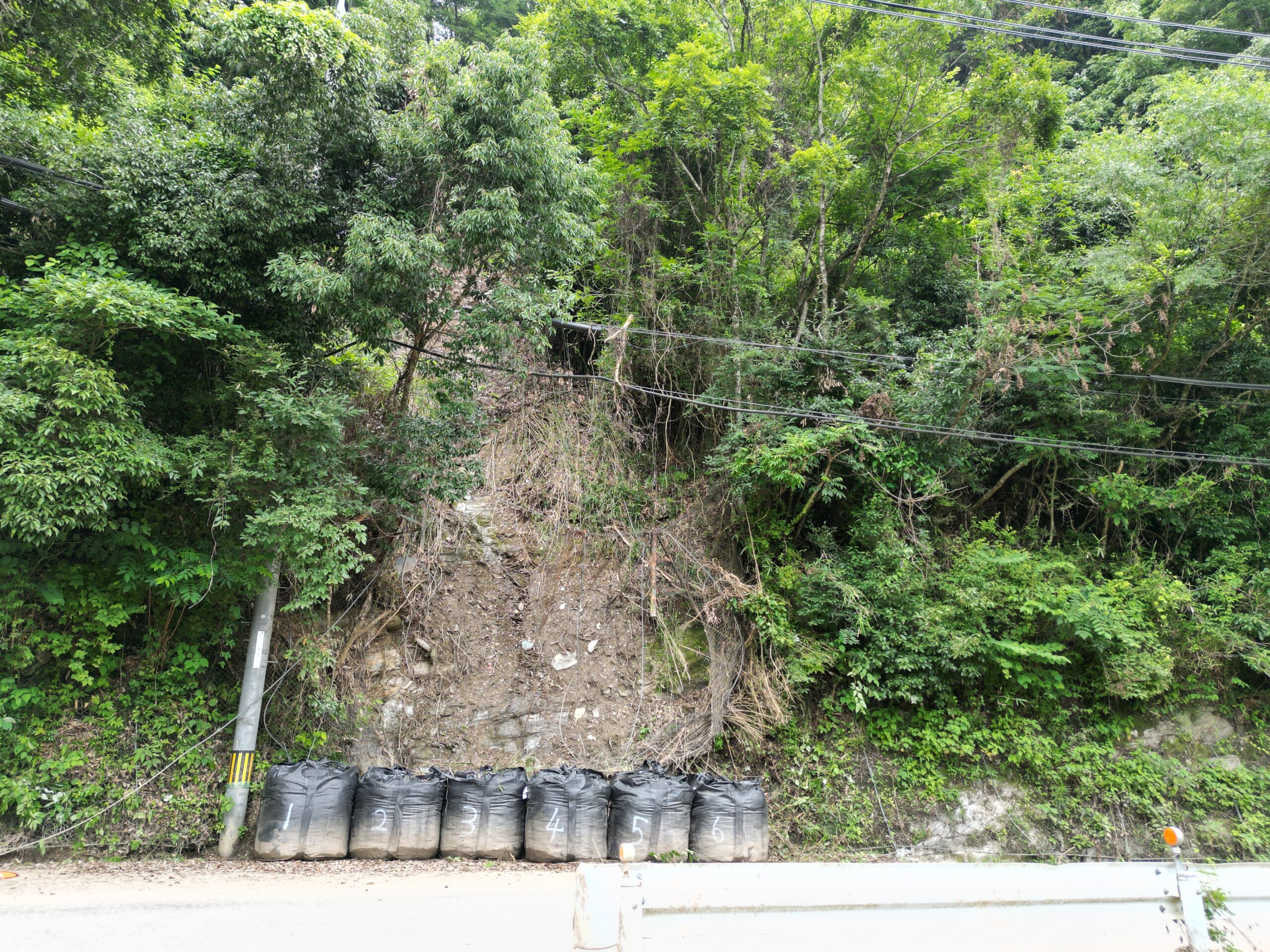 垣内貴志川線災害査定用測量設計業務(道路)