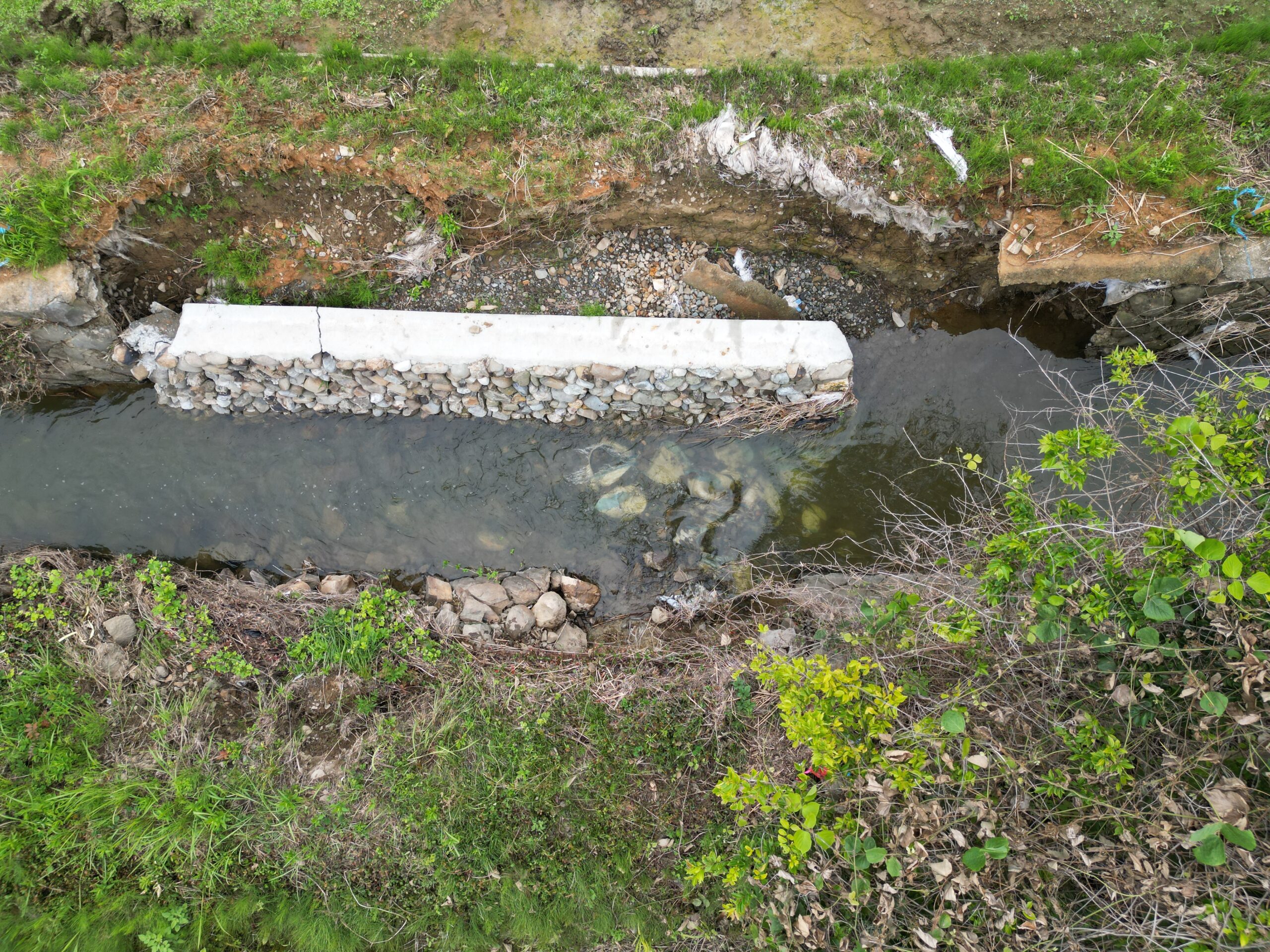 烏子川外災害査定用測量設計業務(河川)