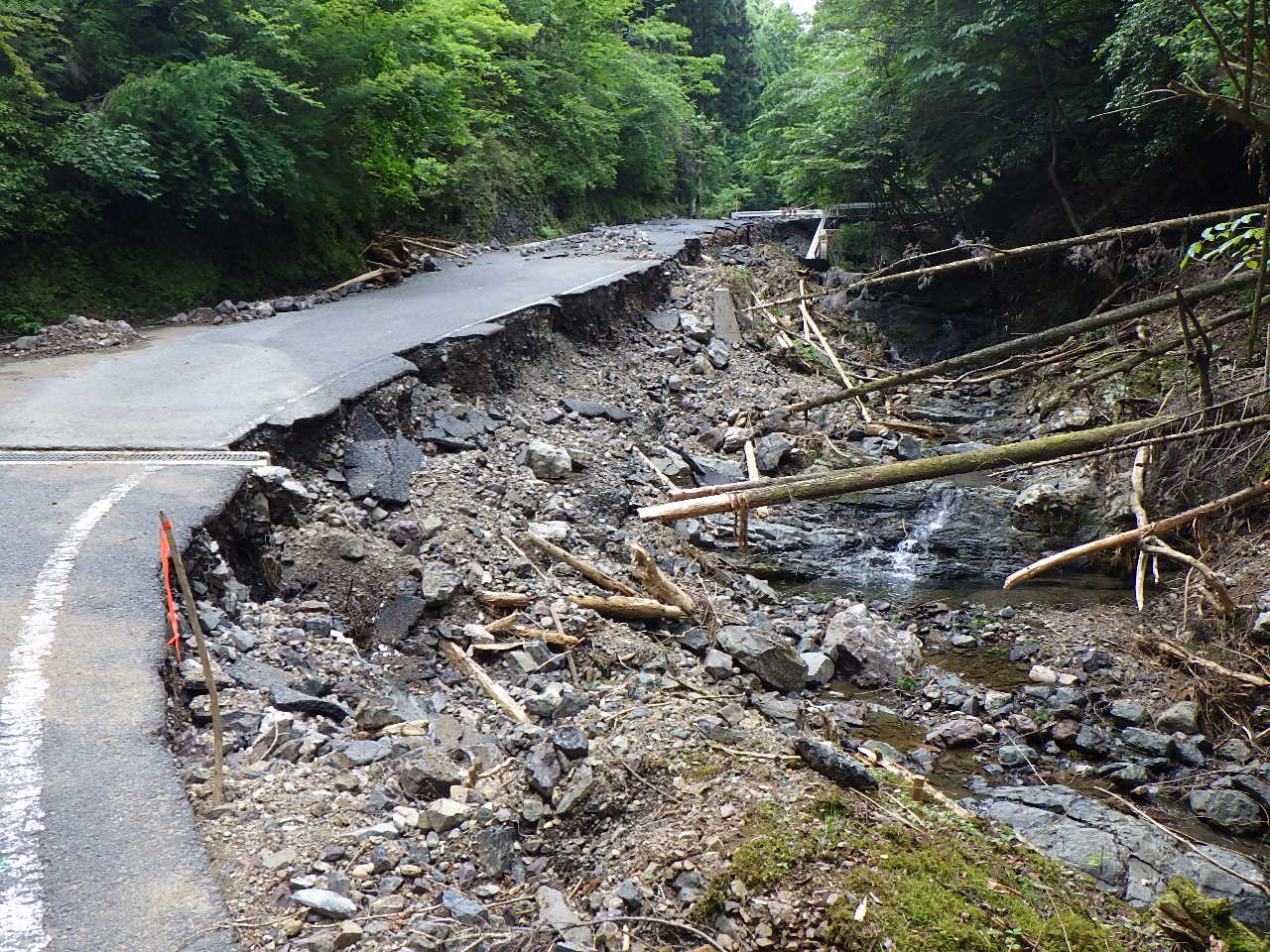 6月豪雨林道災害復旧設計業務(道路)