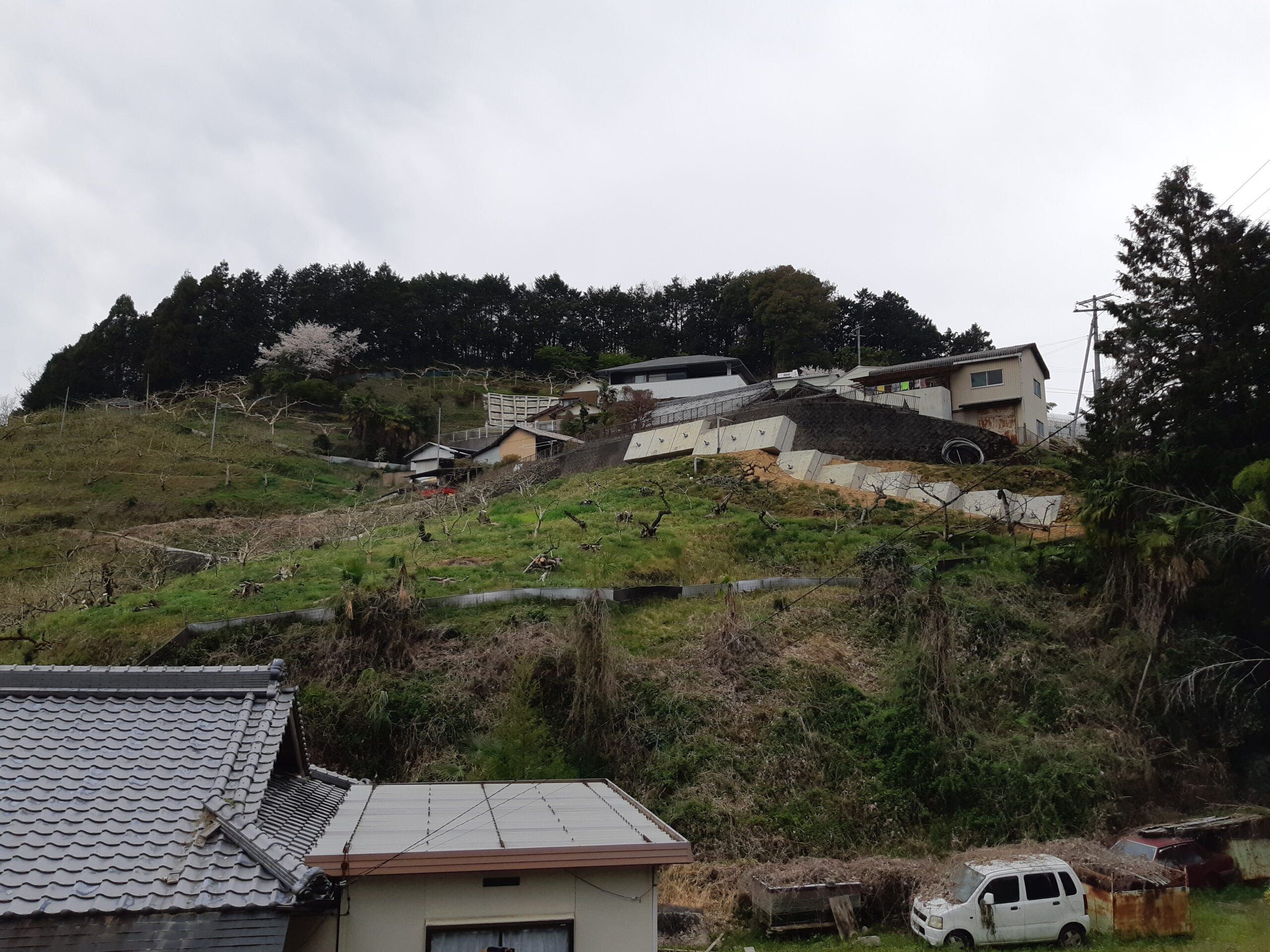 下鞆渕地区砂防(地すべり対策)解析業務(砂防)