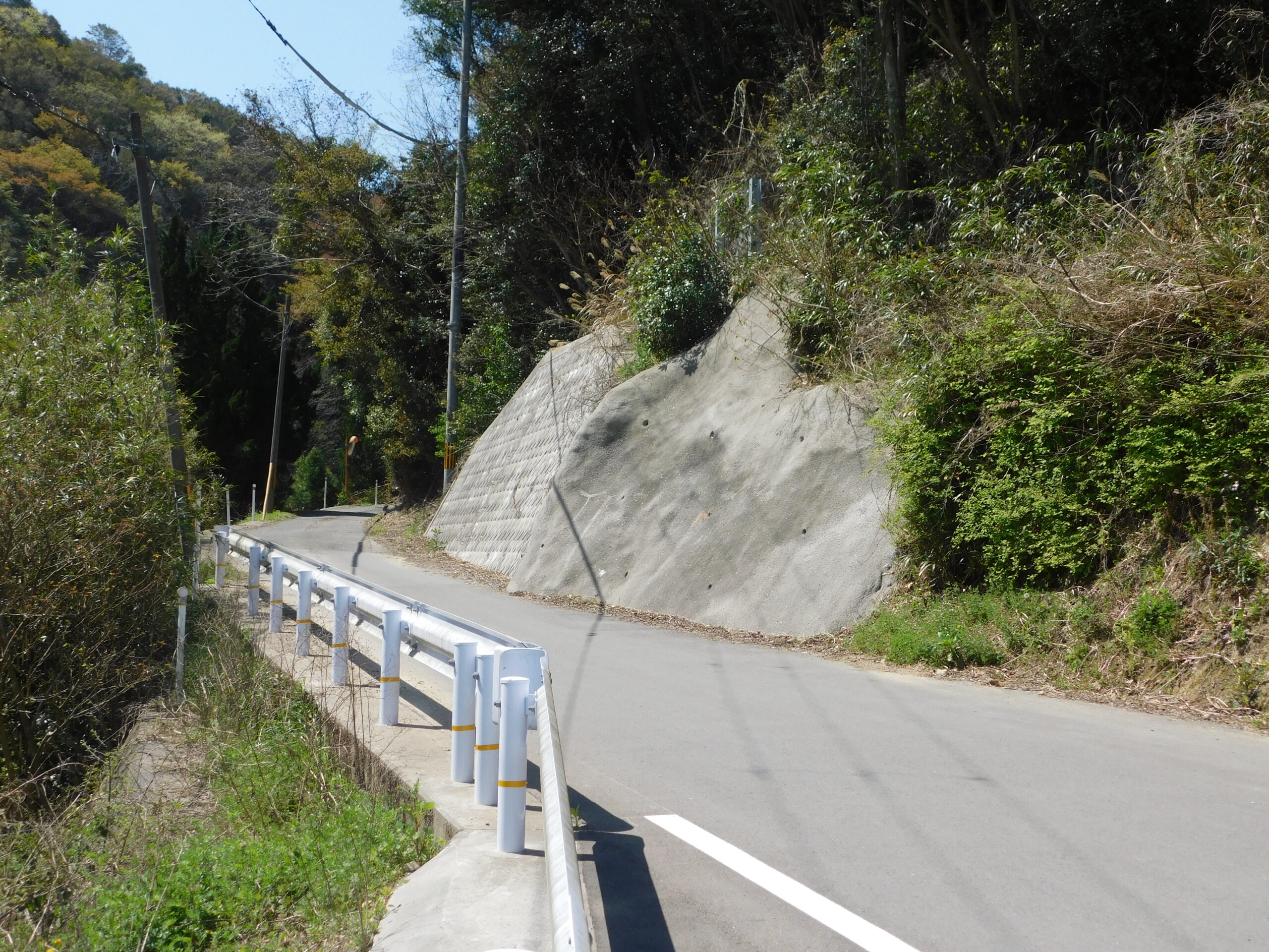 町道西畑線測量及び予備設計業務(道路)