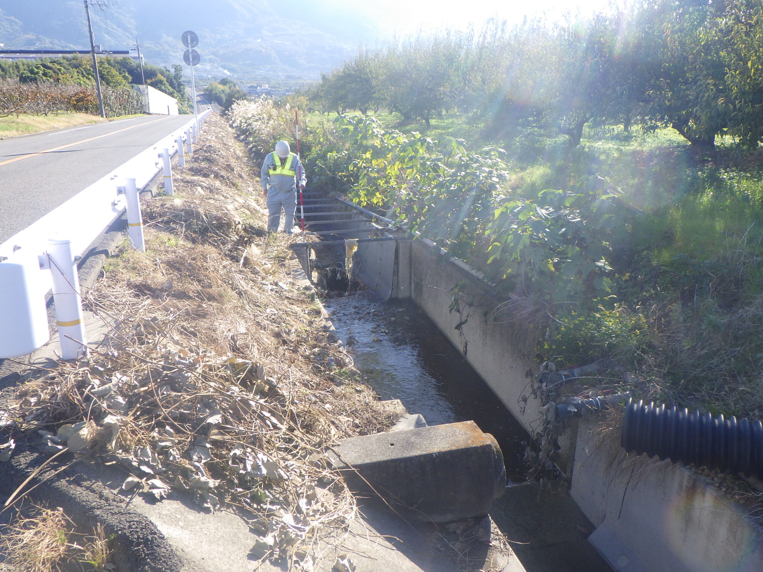 市道井田中ノ才線測量設計業務(道路)