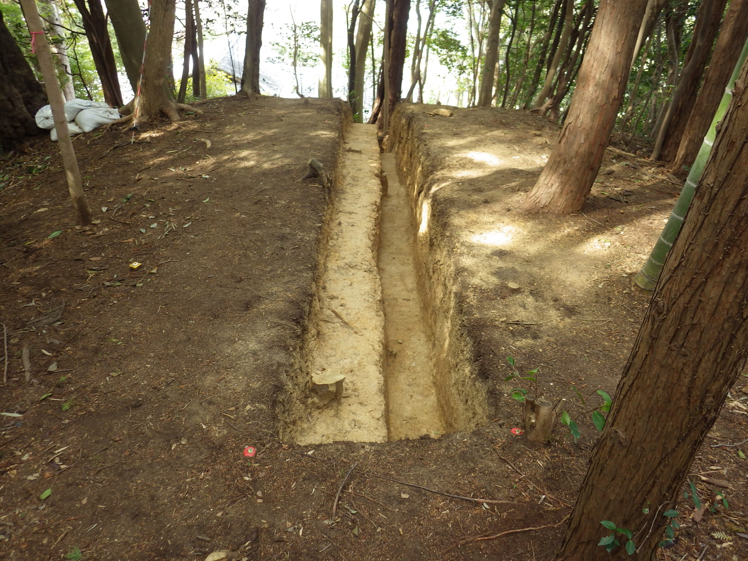 岡田八幡神社古墳群発掘調査に伴う測量業務
