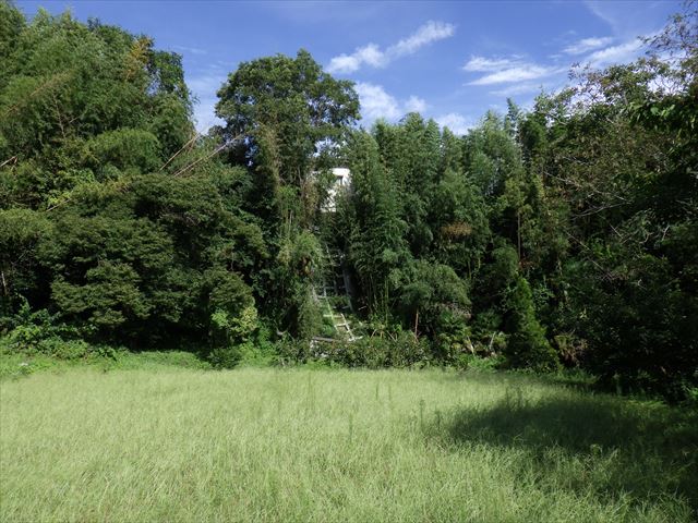 浦の段地区外急傾斜地基礎調査業務（砂防基礎調査）