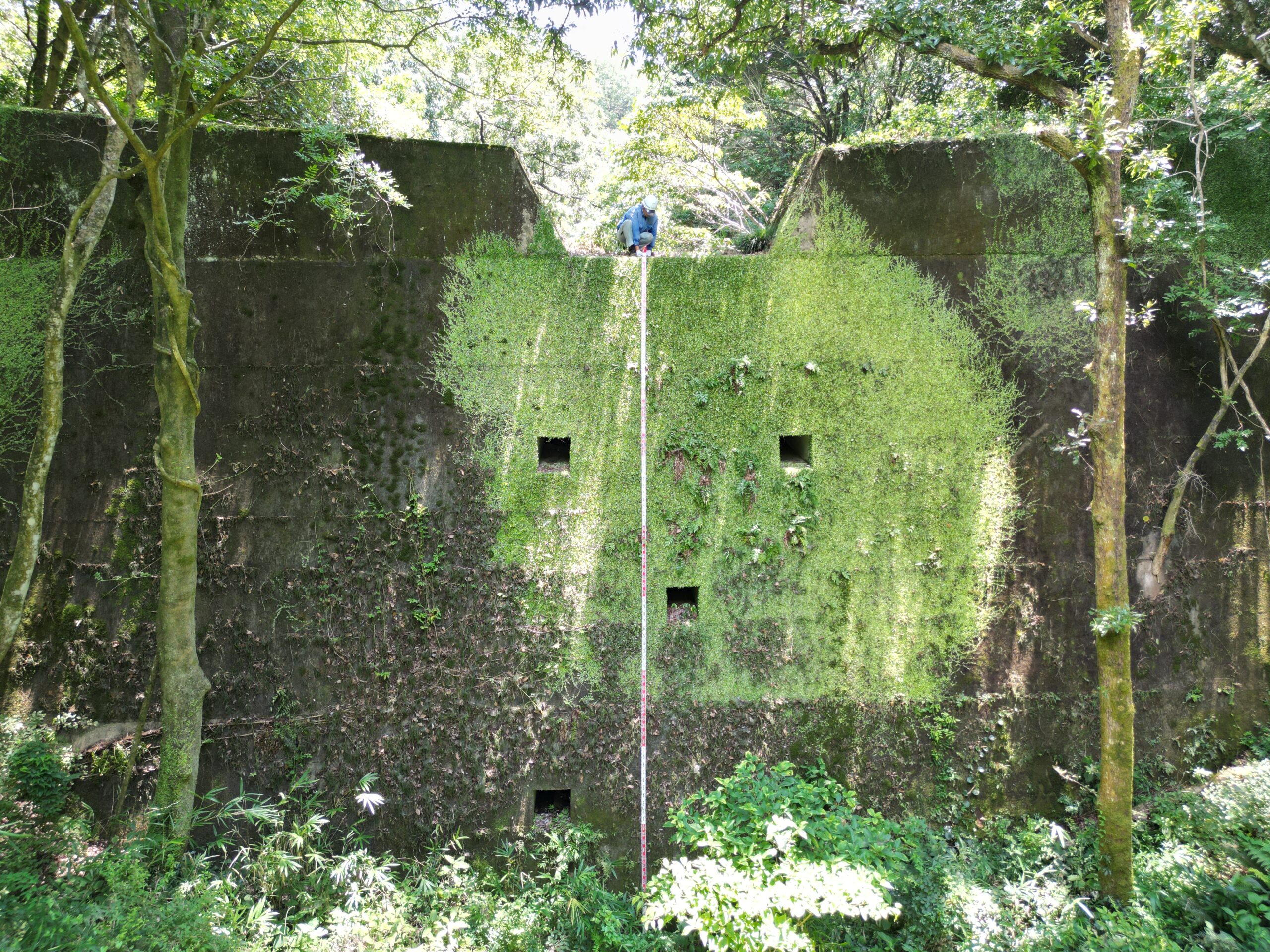 根来川外砂防設備長寿命化検討（点検）業務（砂防点検）