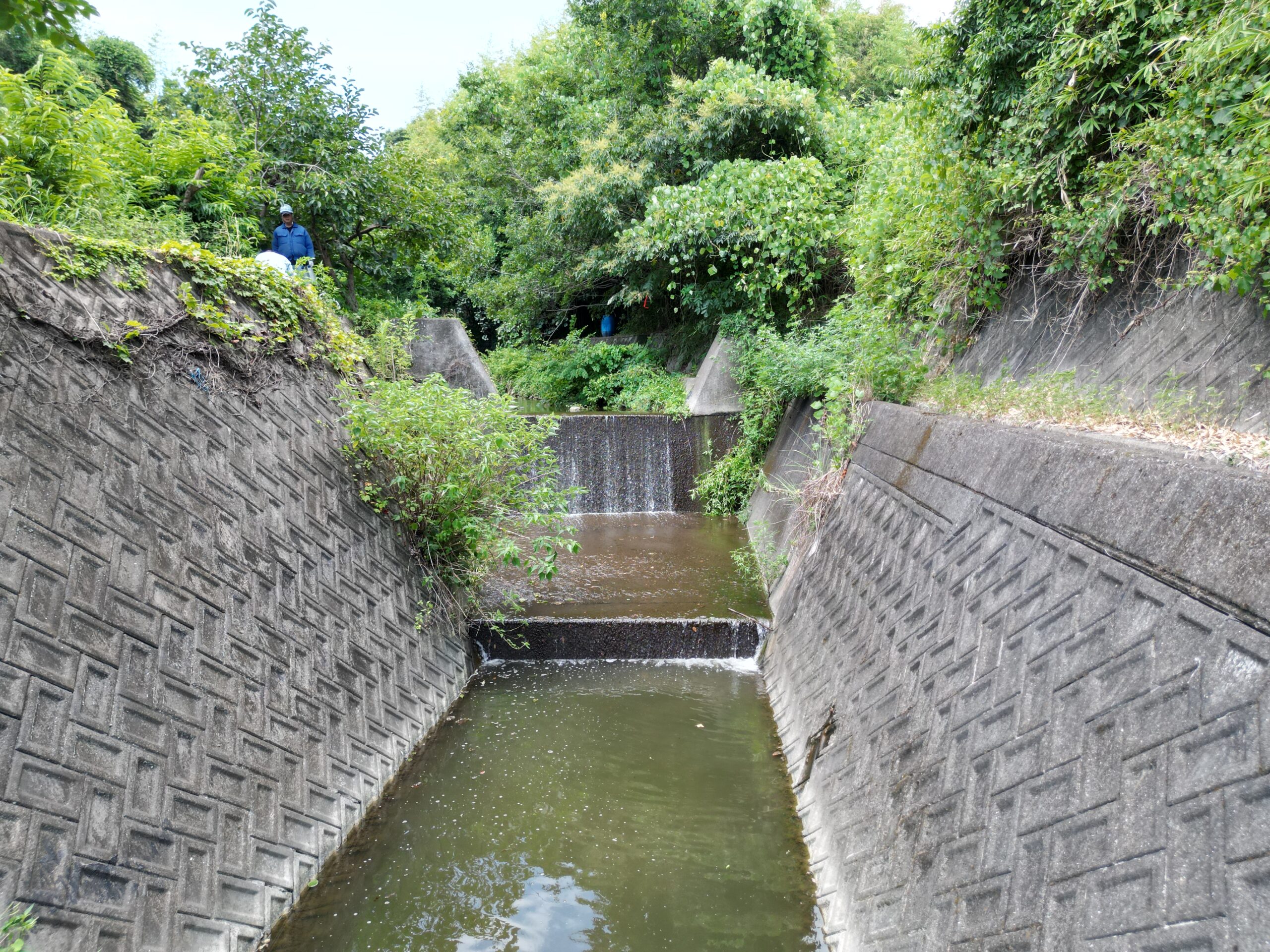 根来川外砂防設備長寿命化検討（点検）業務（砂防点検）