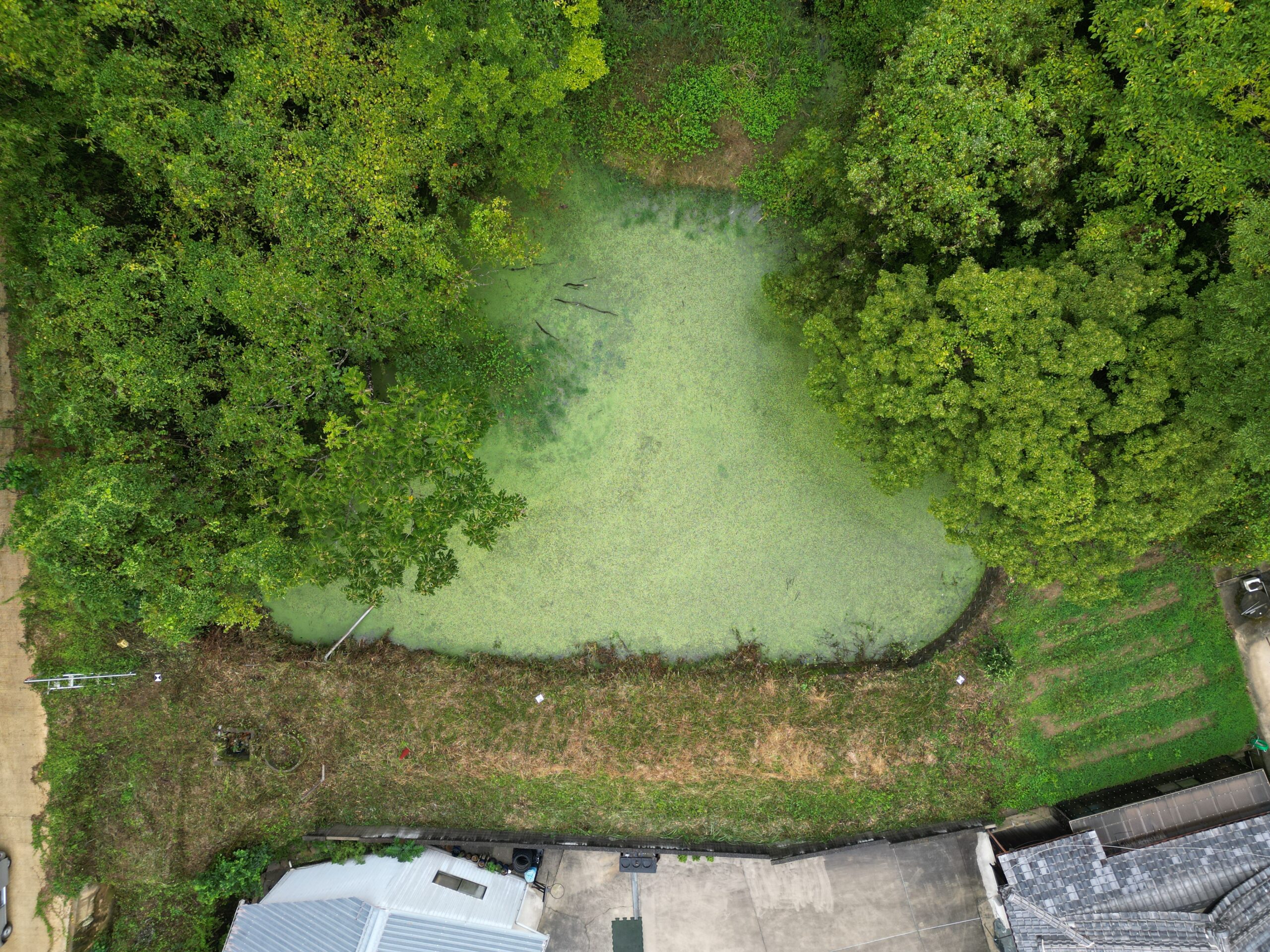 和歌山市農業用ため池劣化状況評価等業務委託その１２（農業土木）